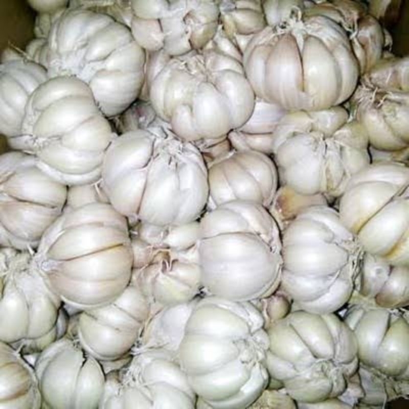 

Bawang putih 500 g