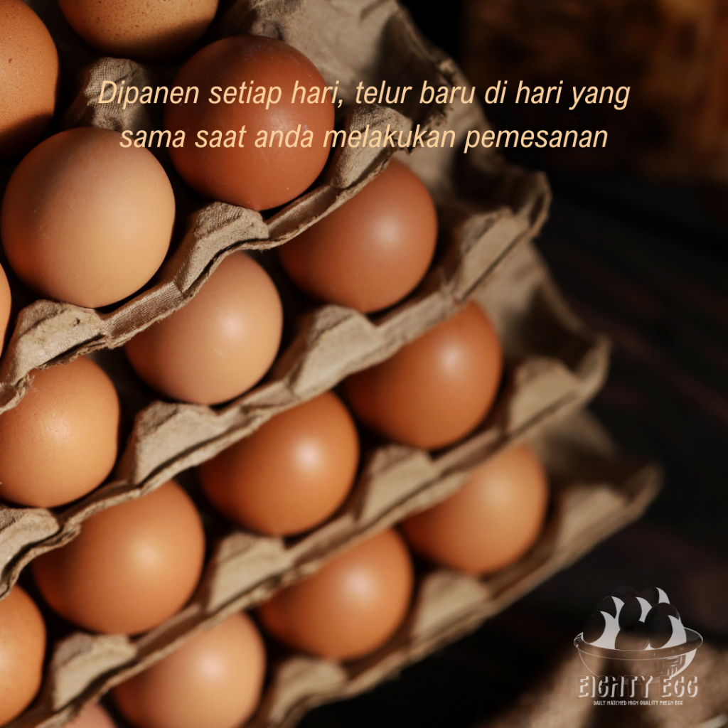 

RB Telur Ayam Negeri Omega 3 - 10 Pcs Grade A Fresh Bersih Kualitas Terbaik