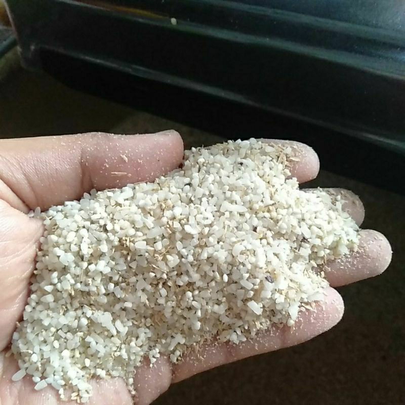 Beras menir pakan ayam bebek 1kg