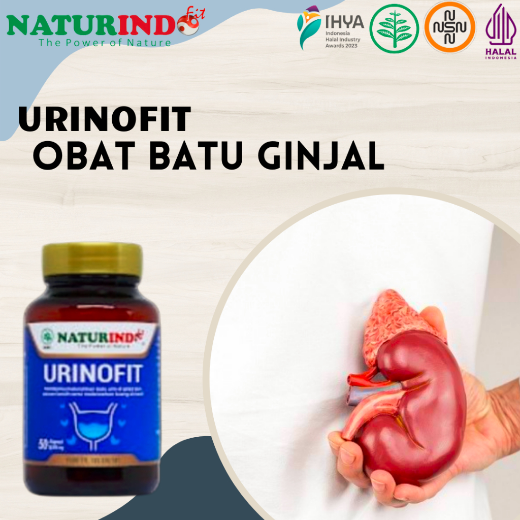URINOFIT OBAT BATU GINJAL OBAT HERBAL ATASI GAGAL GINJAL HERBAL NATURINDO