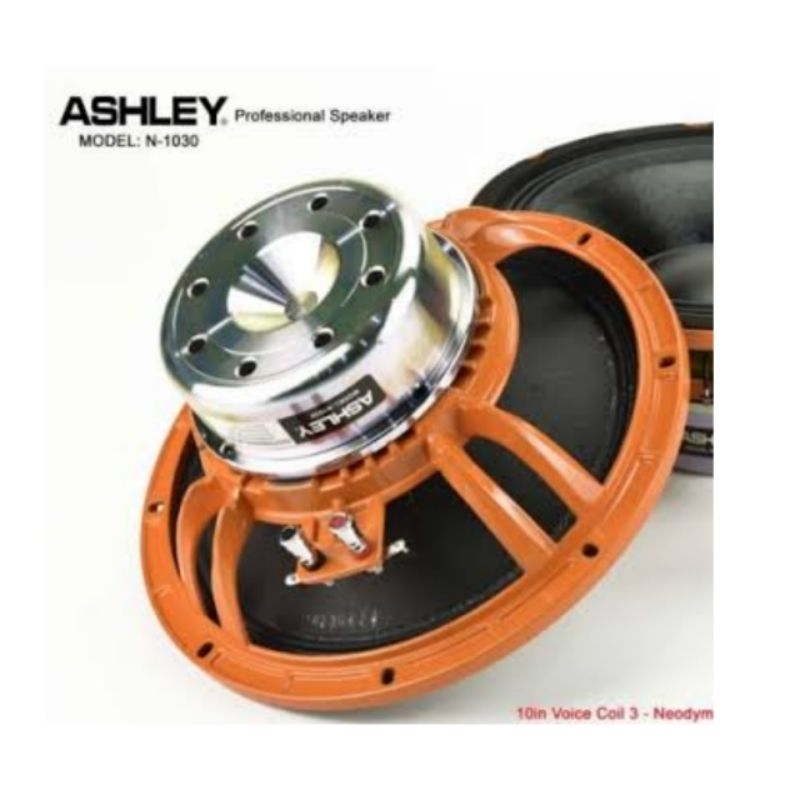 SPEAKER KOMPONEN ASHLEY 10 INCH N 1030 ORIGINAL ASHLEY