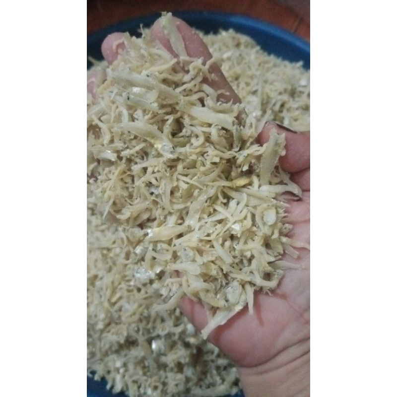

Ikan teri nasi gepeng (Pekto baby)