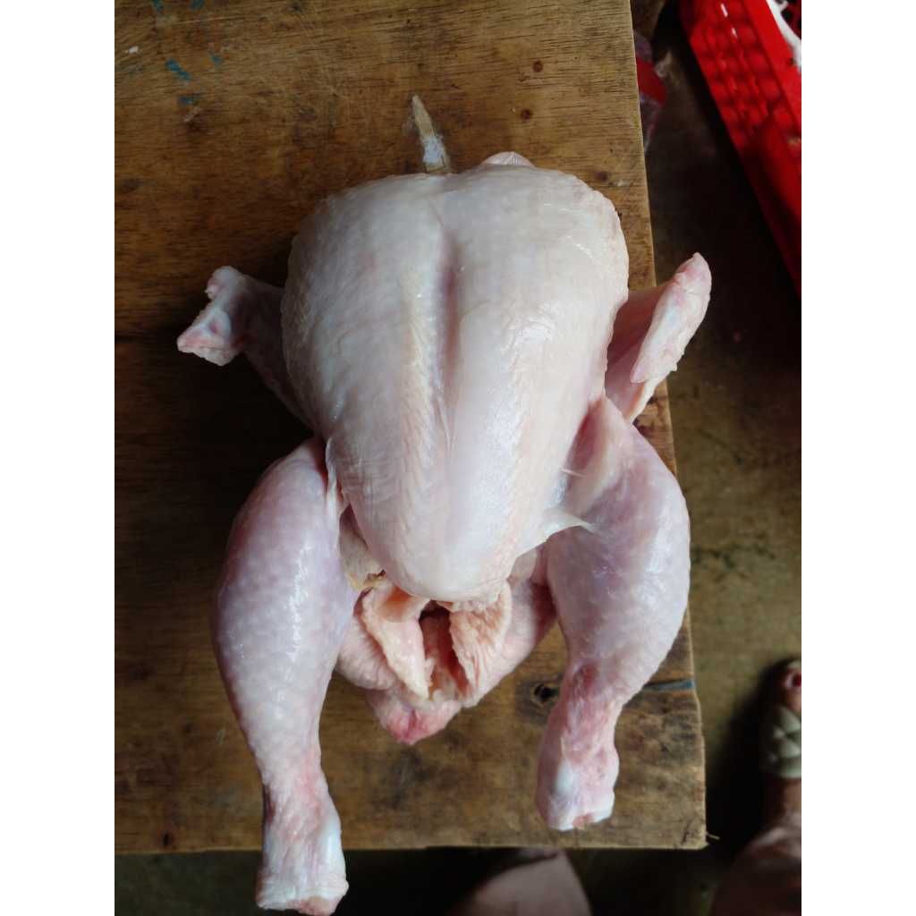 

Ayam broiler 400gram karkas/ayam murah/ayam potong/ayam negeri/ayam frozen