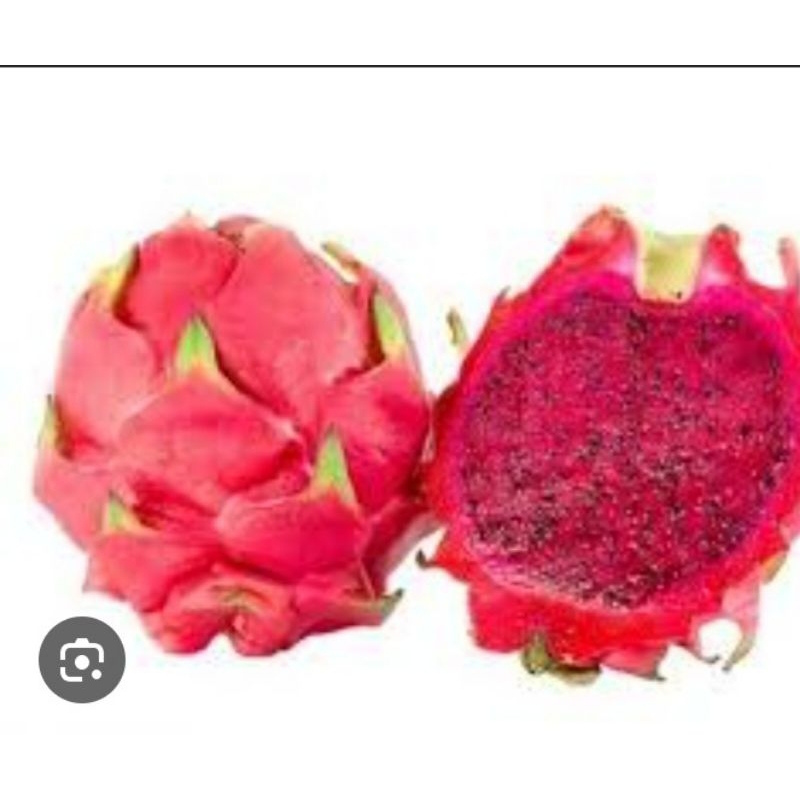 

buah naga merah manis