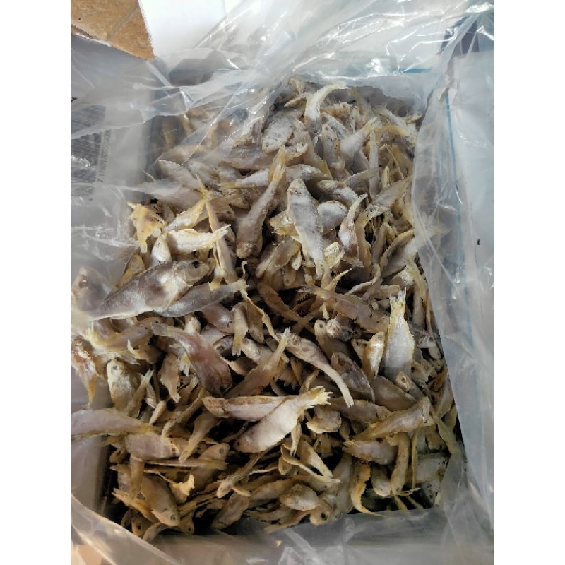 

IKAN ASIN BILIS SUPER ISI 1KG