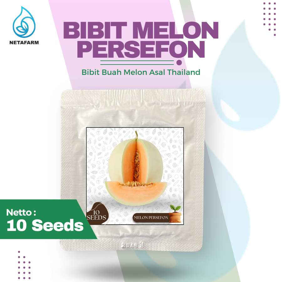 Benih Biji Bibit Melon Persefon Variety 165 Semi Oval Non Net - 10 Seeds