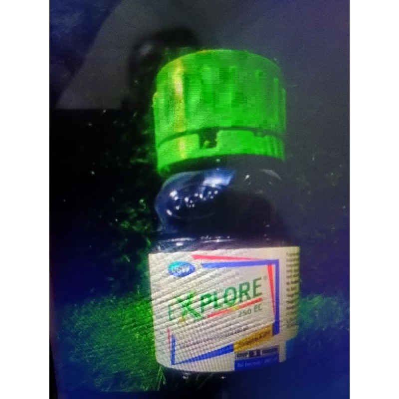 Xplore