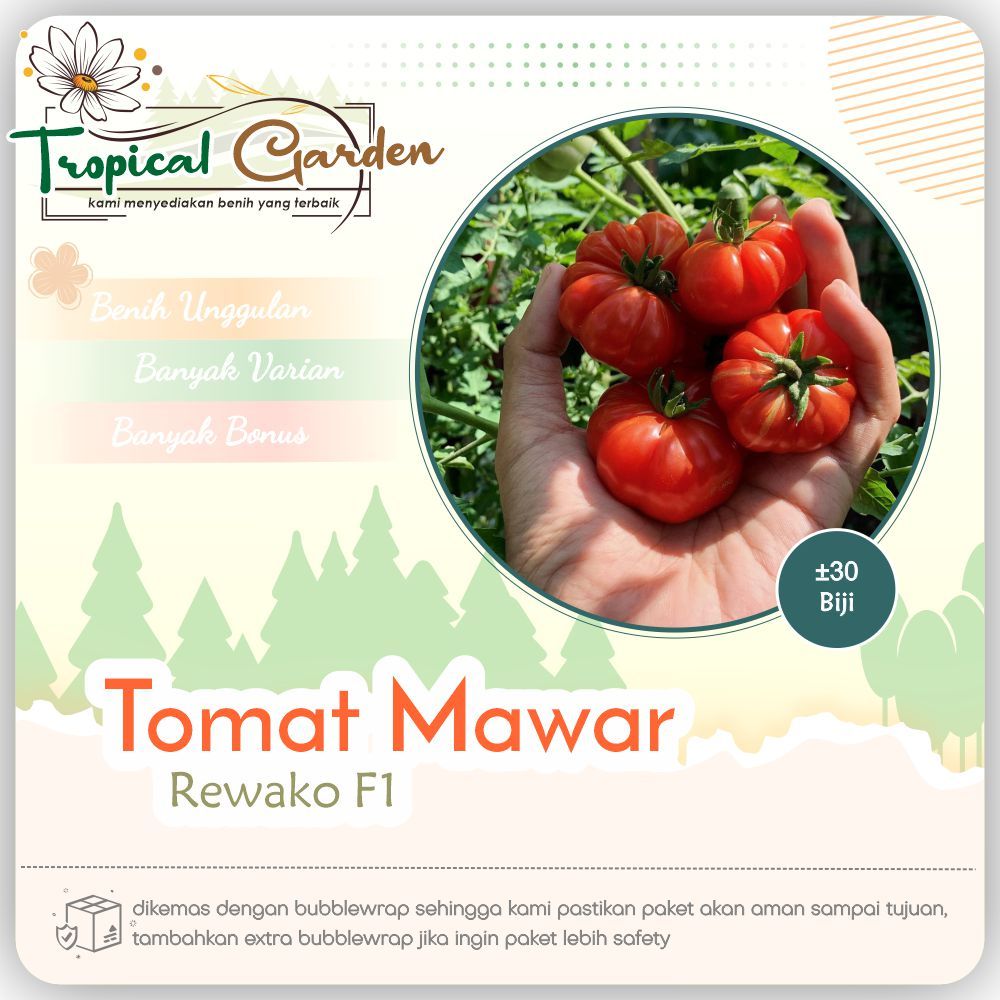 ✿ Tropical Garden ✿ Benih Tomat Mawar Bibit Benih Sayuran Tomat Segar COD ✅