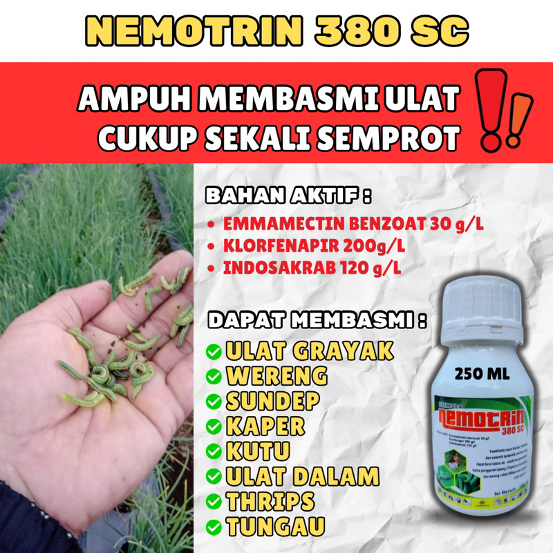 NEMOTRIN INSEKTISIDA SISTEMIK tanaman