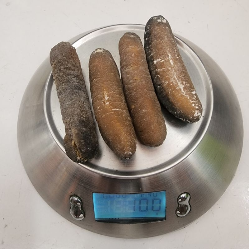 

Murah Ecer! 100gr Haisom Gosok Teripang Kering Size 40