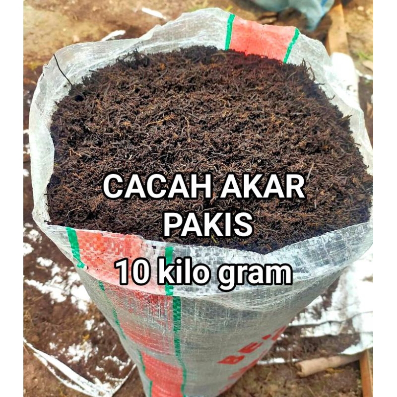 10KG Pakis Cacah Halus Akar Pakis Cacah / Cacah Pakis Kemasan 10kg