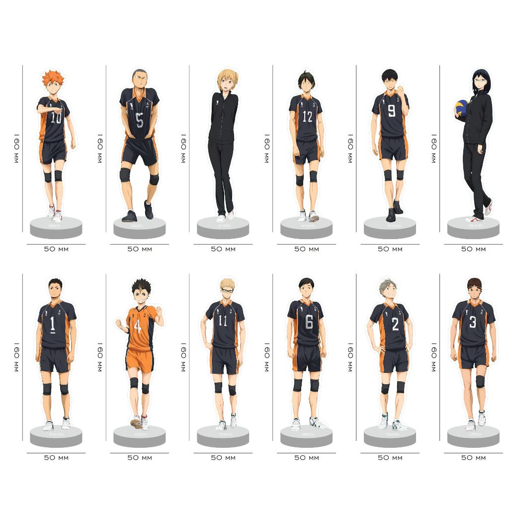 Figure Akrilik Haikyu Karasuno High School Haikyu