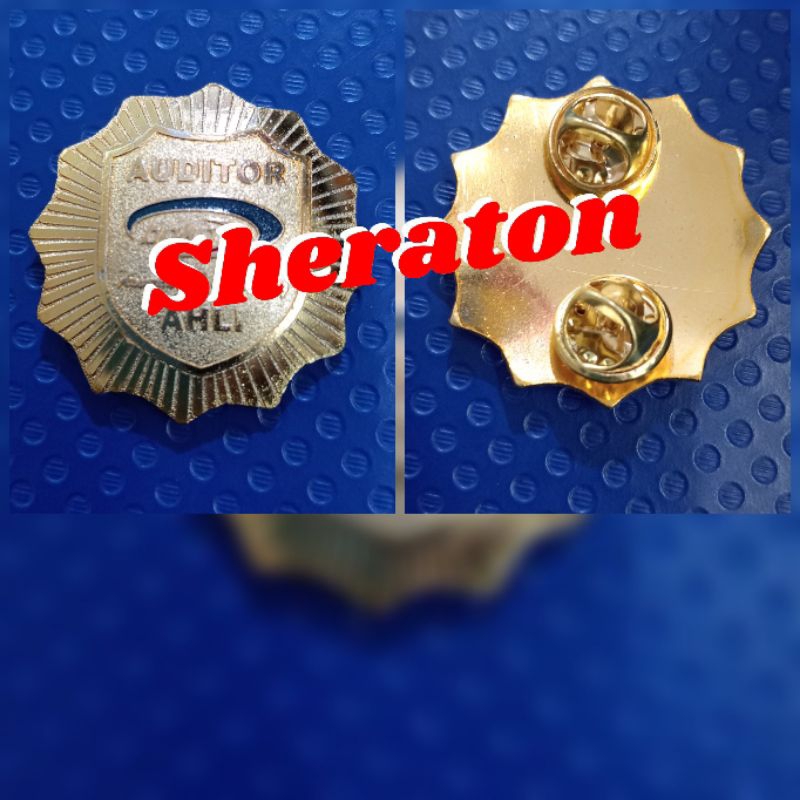 

pin auditor BPKP ahli-paku