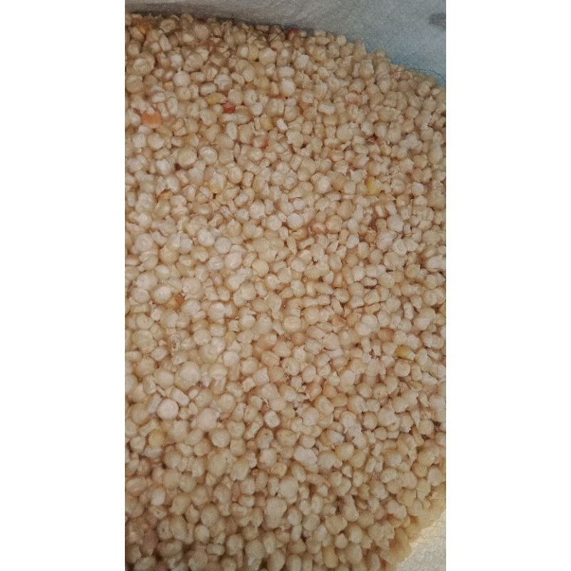 jagung putih pipil super kering/garing para