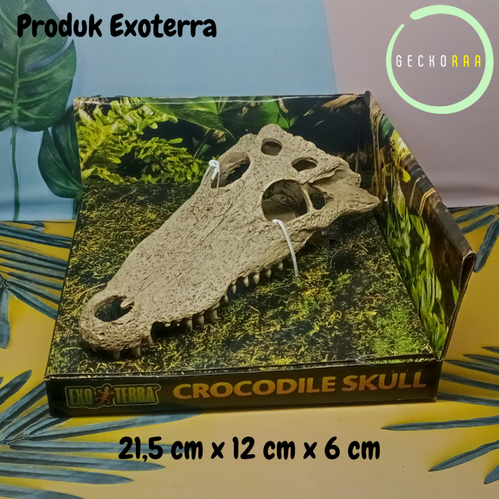 Exoterra Crocodile Skull Hiasan Hiding Terarium Reptil Gecko AFT BD