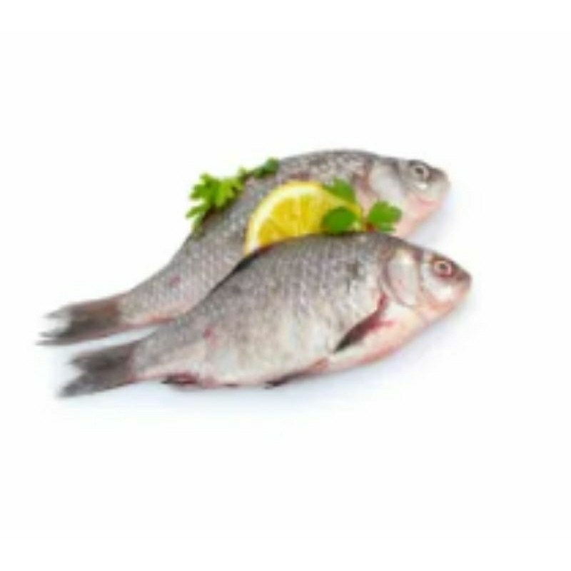 

ikan gurame 1kg