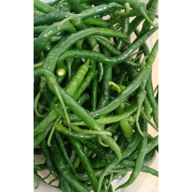 

Cabe hijau / cabe ijo