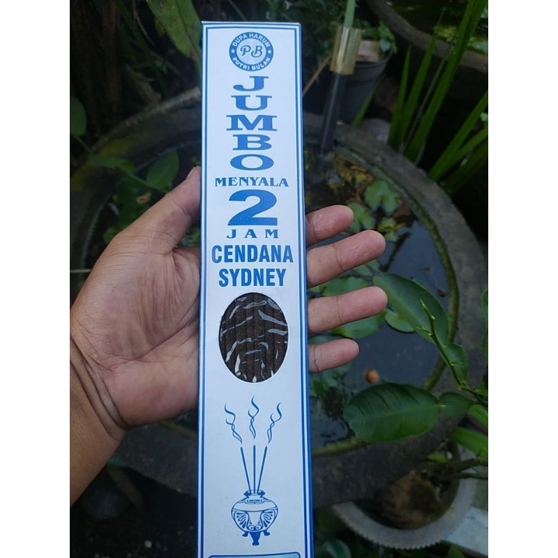 Dupa jumbo menyala 2 jam Cendana Sydney