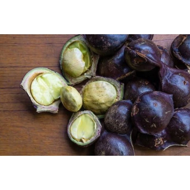 

Jengkol muda buat lalapan dan kesehatan 1kg