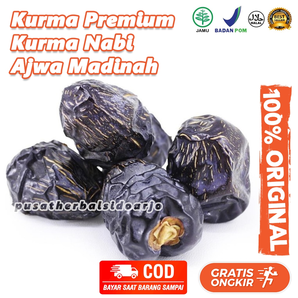 

Kurma Ajwa Organik Ajwa Ruthob Ajwa 1 KG Ajwa Empuk Ajwa Basah Ajwa Organik