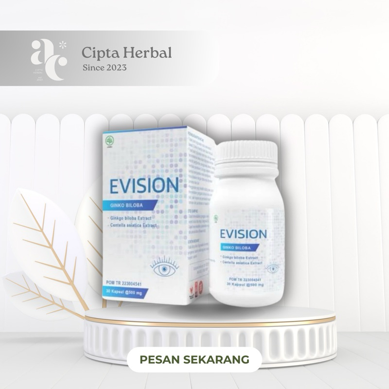 Evision Asli Original Obat Mata