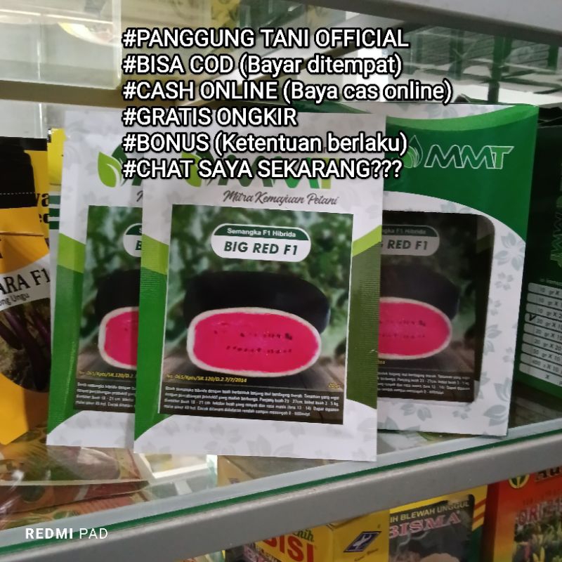 

Benih Semangka Big Red F1 (Cap Mitra Merdeka Tani) isi 20 Gram Kadaluarsa 2025 Panjang Daging Merah Kulit Hijau gelap disukai pasar
