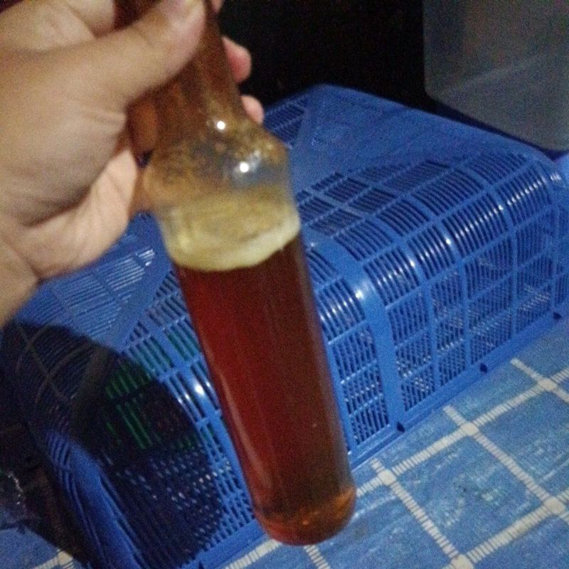 

madu klanceng