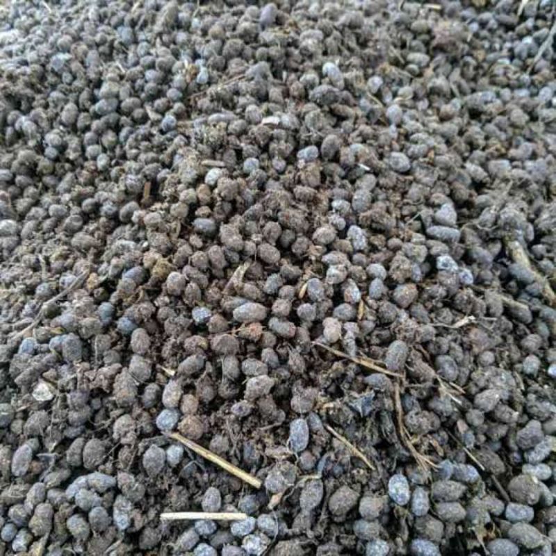 250 gram PUPUK kotoran kambing kompos (KOTORAN KAMBING MURNI)