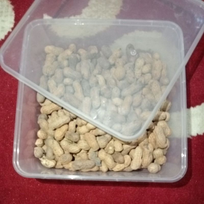 

kacang goreng pasir 250gram