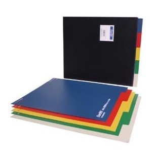 

Bantex PP Colour Divider A4/Pembatas Binder/Penyekat Ordner