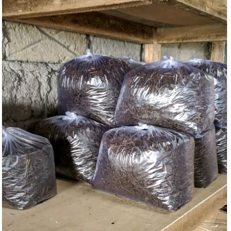 

PETANI MILENIAL - 1KG Teh Seduh Asli Kemuning Karanganyar