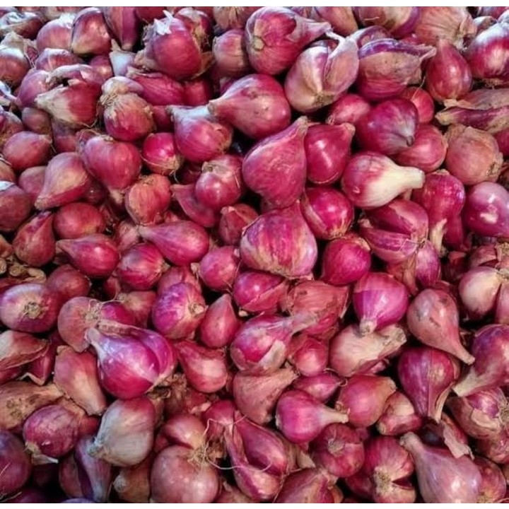 

Bawang merah berebes super gede pilihan