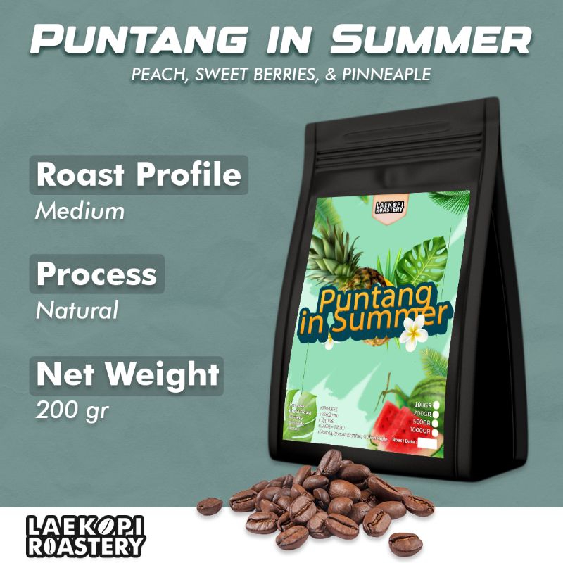 

Biji Kopi Bubuk Arabika PUNTANG IN SUMMER Single Origin 200 gram