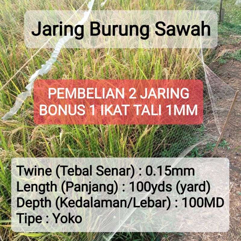 Jaring burung sawah panjang 100yds / Jaring Burung Pipit / Jaring Burung Emprit / Jaring Padi / Jari
