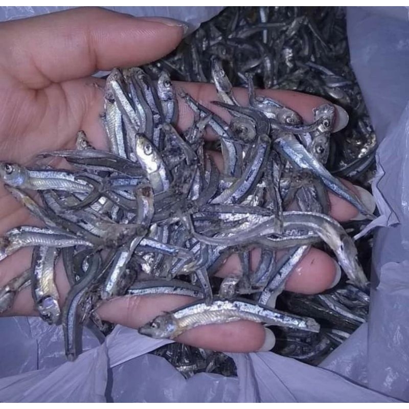 

Ikan Bilis/Teri Hijau Khas Tanjungpinang Kepulauan Riau Ukuran 250 Gram