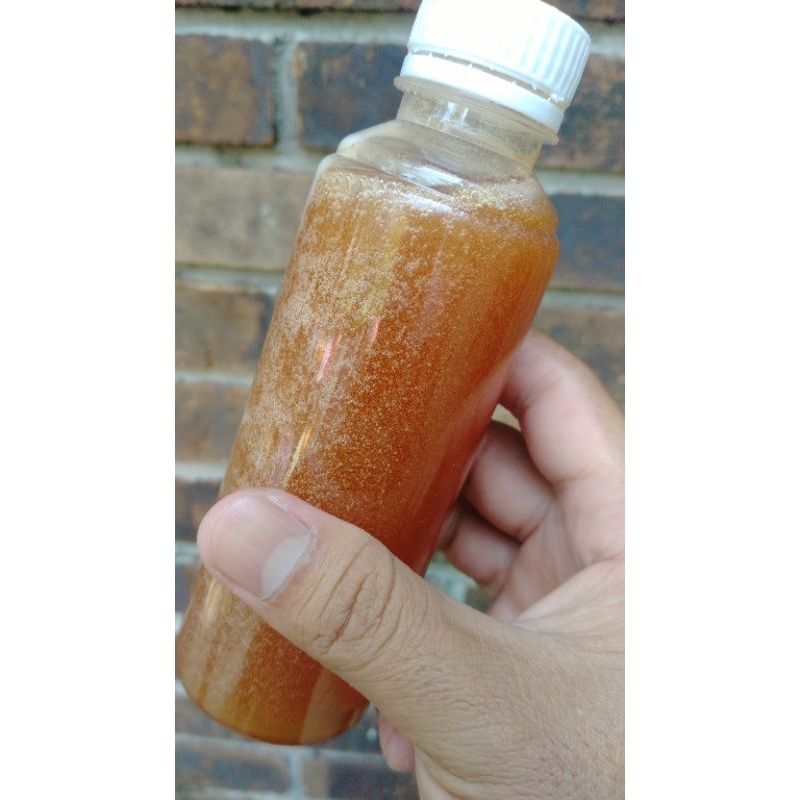 

Madu Tawon Murni Kemasan 250 ml