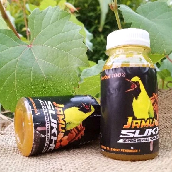 

jamu sukhoi asli