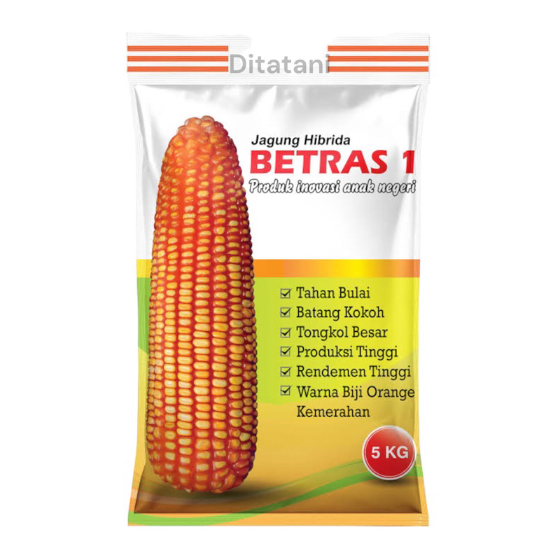 JAGUNG BETRAS 1 BINTANG betras 10 betras 9 ASIA 5KG benih unggul termurah jagung hibrida