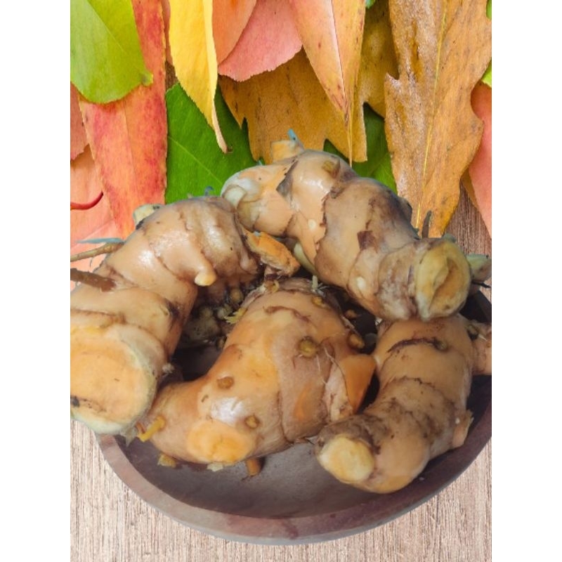 

TEMULAWAK JUMBO (FRESH) 1KG