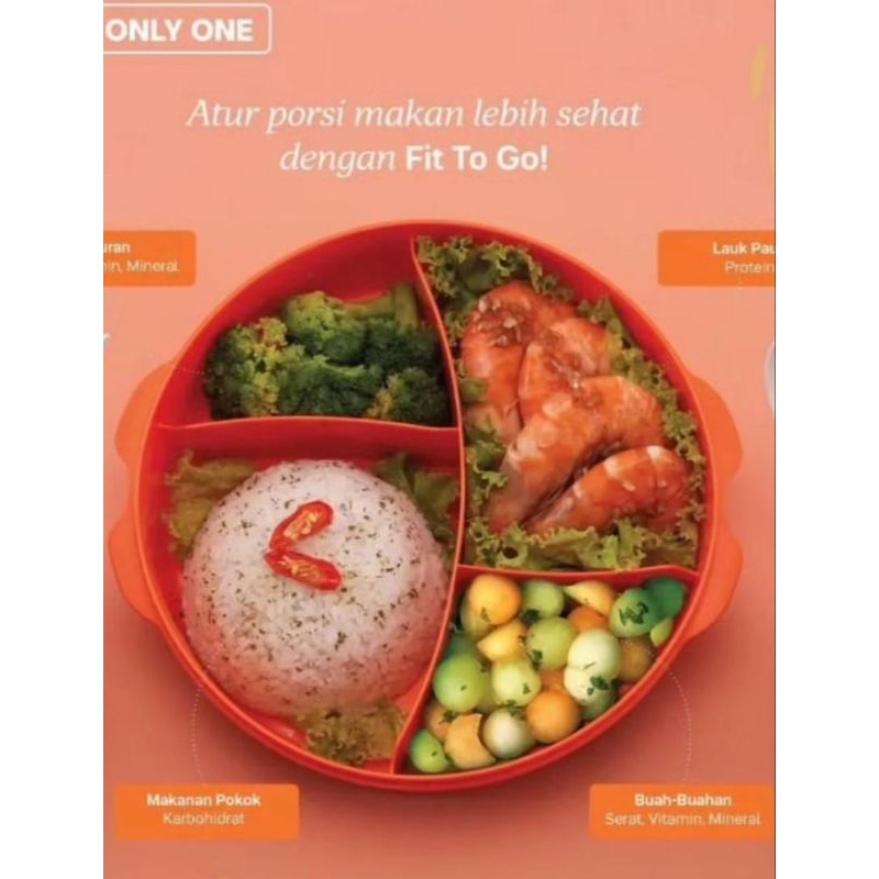 fit to go set lunch tupperware