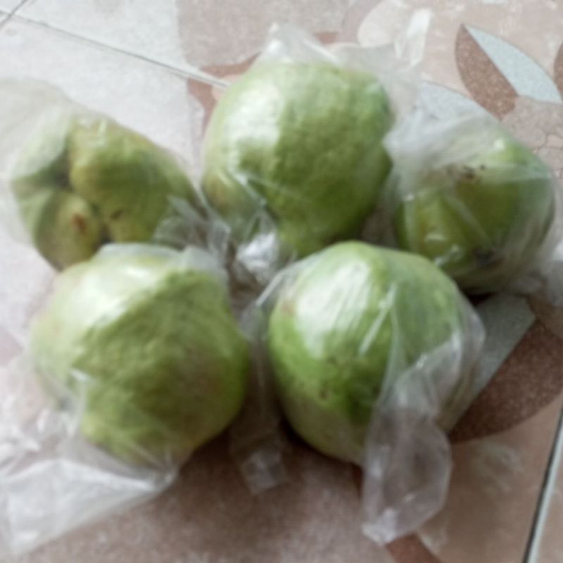 

Fruity Jambu kristal segar