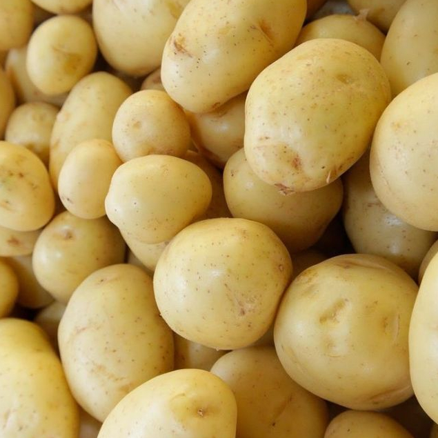 

KENTANG DIENG SUPER 500 GRAM