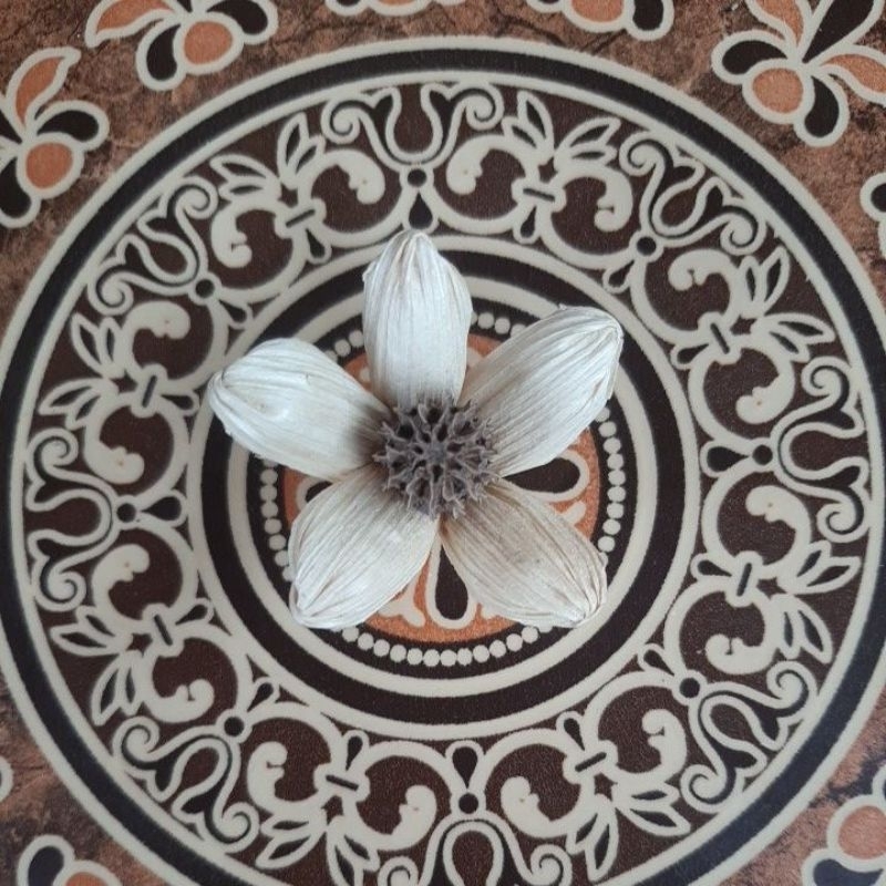 Bunga Klobot Jagung Bunga Rastik Hiasan