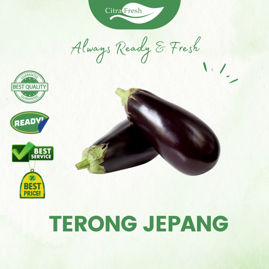 

CITRA FRESH - Terong Jepang 1 Kg - Selalu Ready dan Fresh