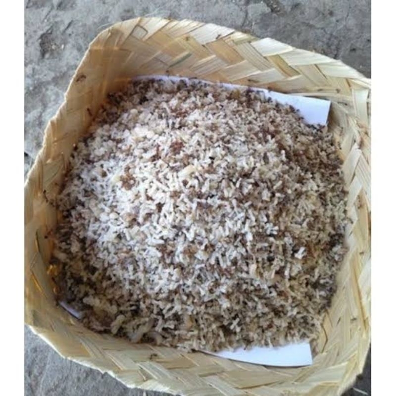 Umpan kroto 100gram,kroto bersih ( kroto fress )