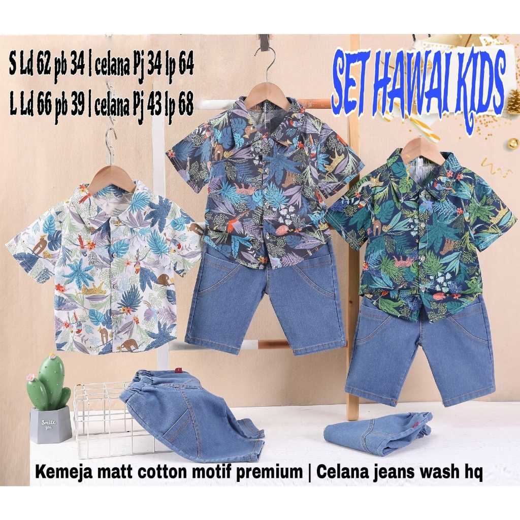 Set Hawai Kids Cowok
