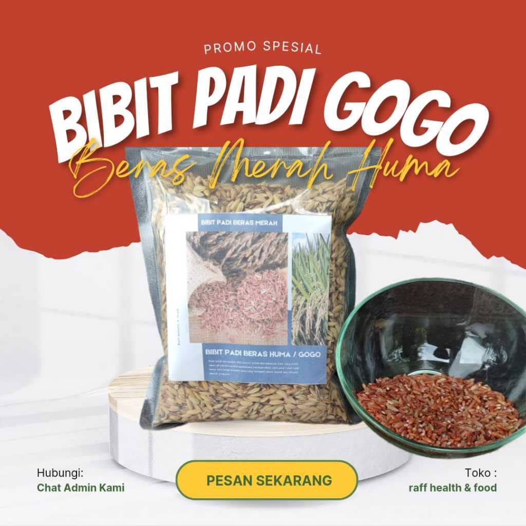 JUAL BIBIT PADI HUMA ASLI KUALITAS UNGGUL BIBIT PADI DARAT BENIH GOGO PADI MERAH