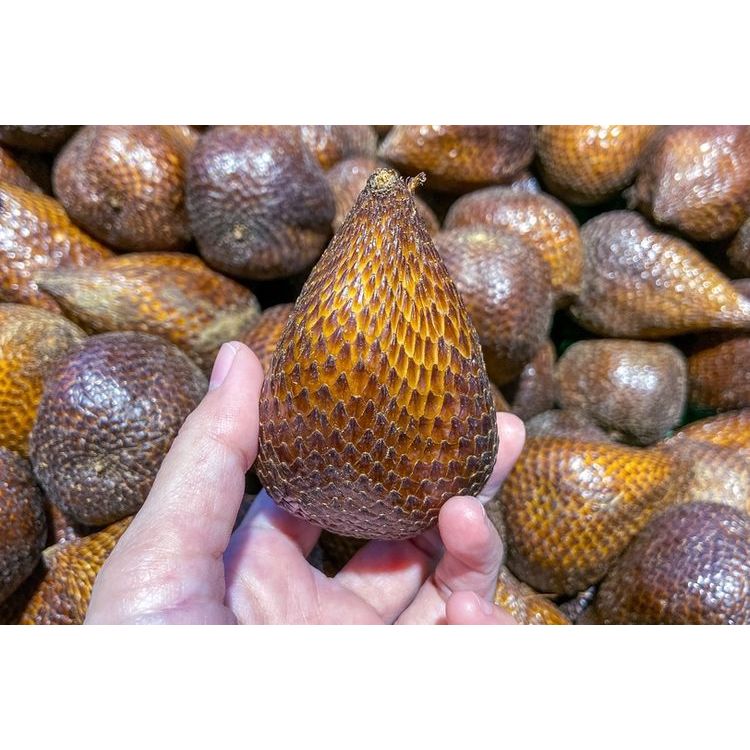 

Salak Pondoh Manis 500grm