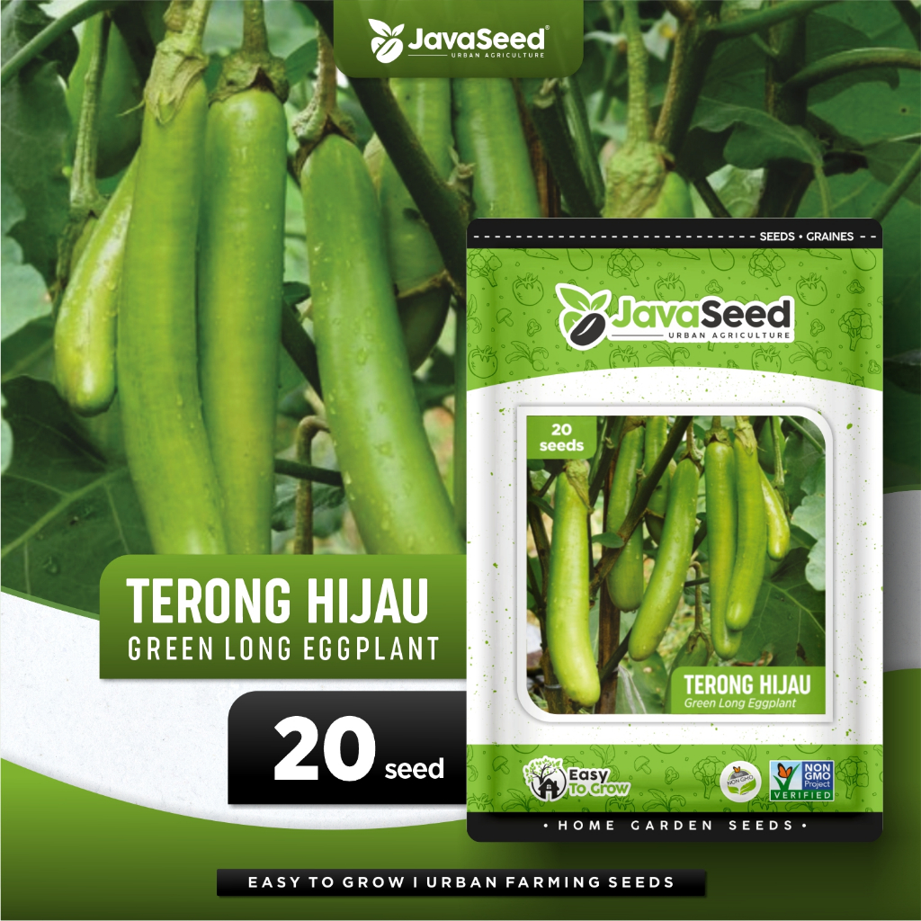 JAVASEED - Benih Terong Hijau Panjang Lokal Green Hitavi 20 Benih