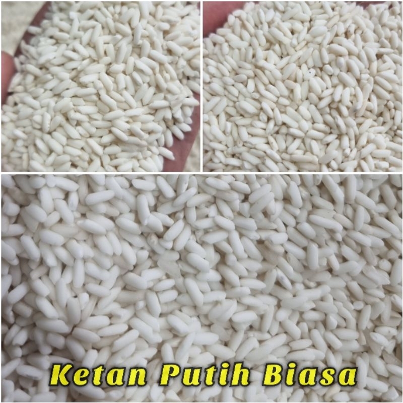 

Ketan Putih 2 KG Beras Ketan Original - Bambu Wangi